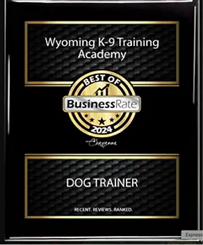 rating award 2
