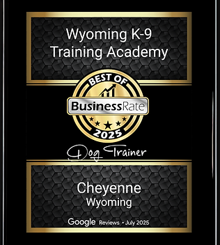 rating award 1