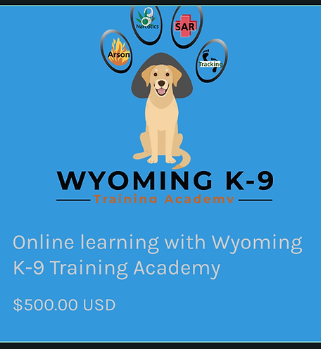online learning 1