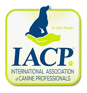 IACP