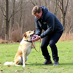 dog training