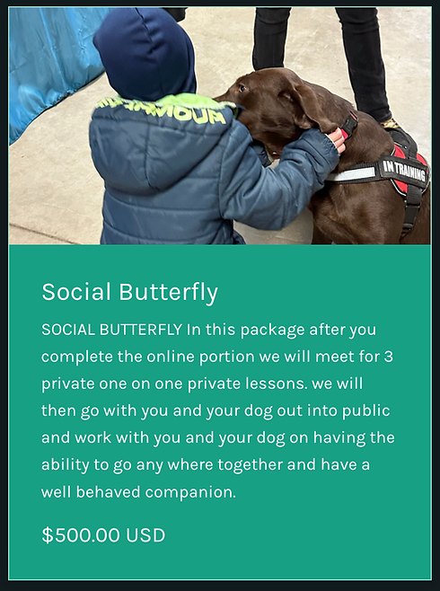 Online learning 2